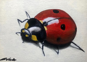 ladybug