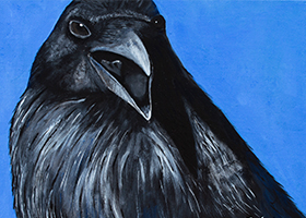 raven